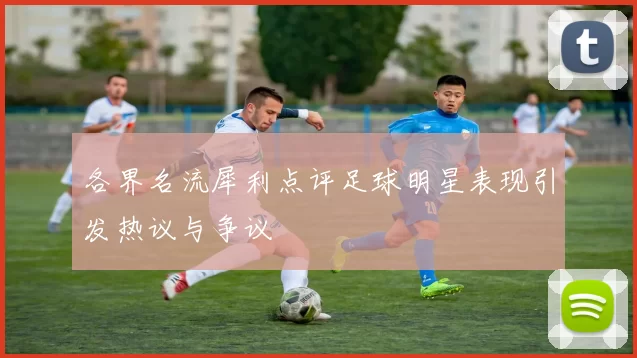 各界名流犀利点评足球明星表现引发热议与争议