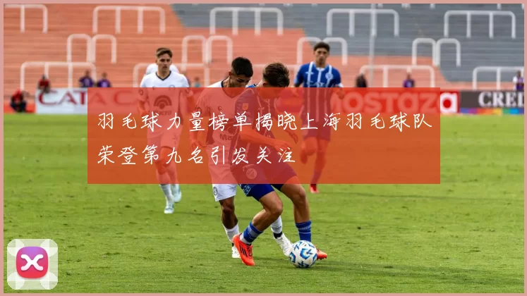 羽毛球力量榜单揭晓上海羽毛球队荣登第九名引发关注