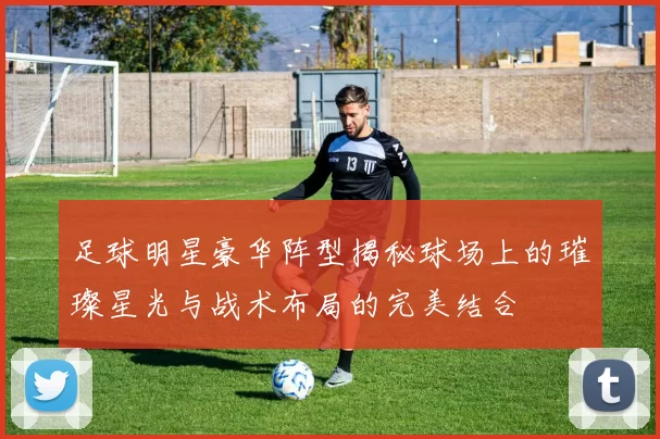足球明星豪华阵型揭秘球场上的璀璨星光与战术布局的完美结合