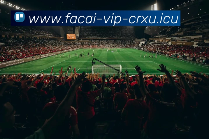 华体会体育APP 封面图